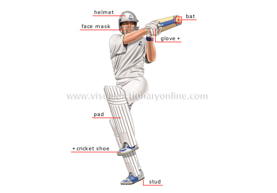 cricket player: batsman