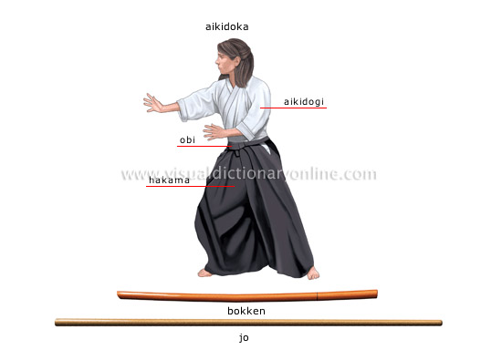 aikido
