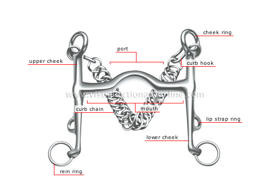 curb bit [1]