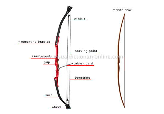 compound bow