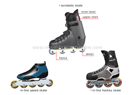 in-line skate [2]