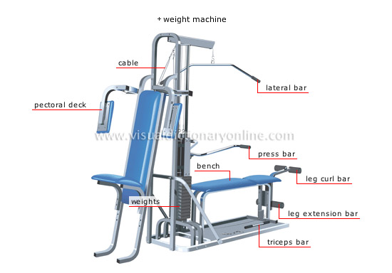 fitness equipment [6]