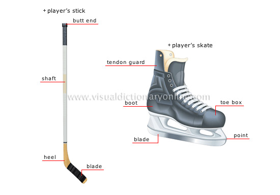 ice hockey player [3]