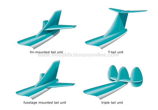 examples of tail shapes